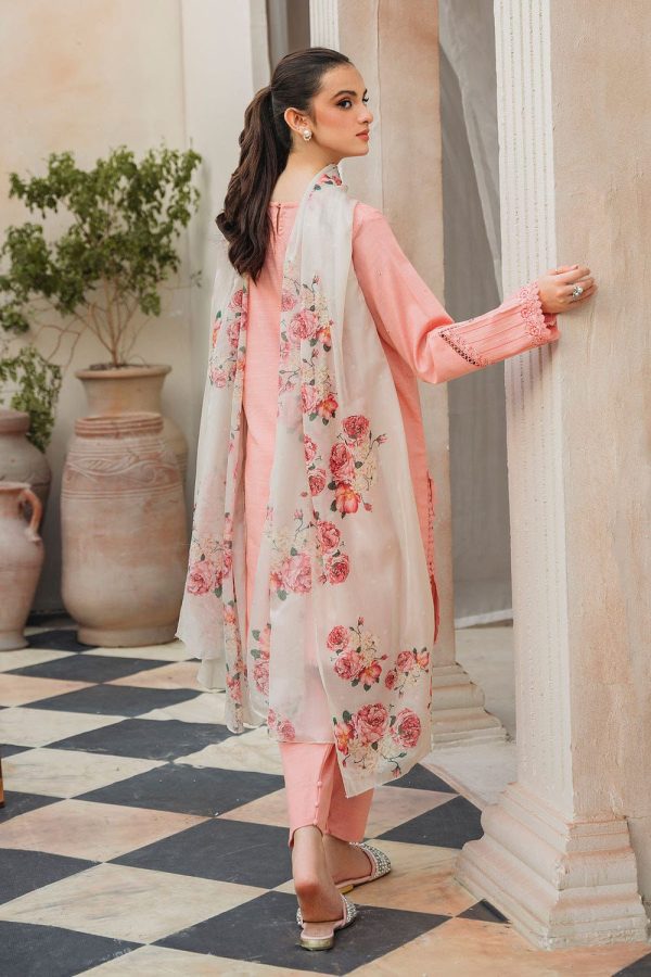 🍂 ZIVA 4138 Luxury Embroidered 3 Piece Suit 🍂 - Image 3