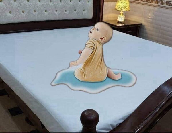 King Size Waterproof Mattress Protector Bedsheet Pakbela
