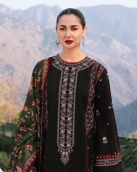 Luxury Heavy Embroidered Dhanak Suit with Printed Pashmina Shawl W105