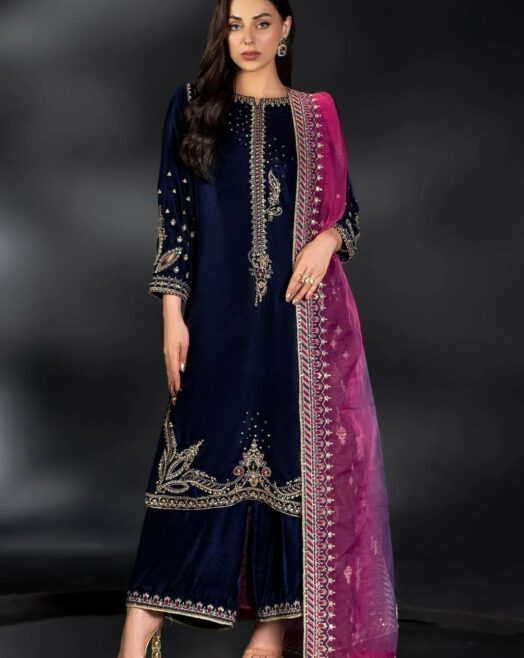 Naqashi Embroidered Velvet 3PC Dress | Partywear | Blue Zinc Embroidery | Velvet, Organza & Raw Silk