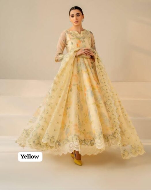 Chiffon 3 Piece Suit