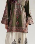 Dhanak 2 Piece Embroidered Suit